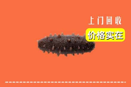 坪山区回收海参